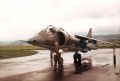 Harrier Pilot.jpg